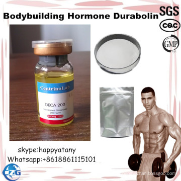 Deca Bodybuilding Hormone Nandrolone Decanoate Durabolin